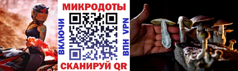 цена   Похвистнево  Псилоцибиновые грибы Cubensis 